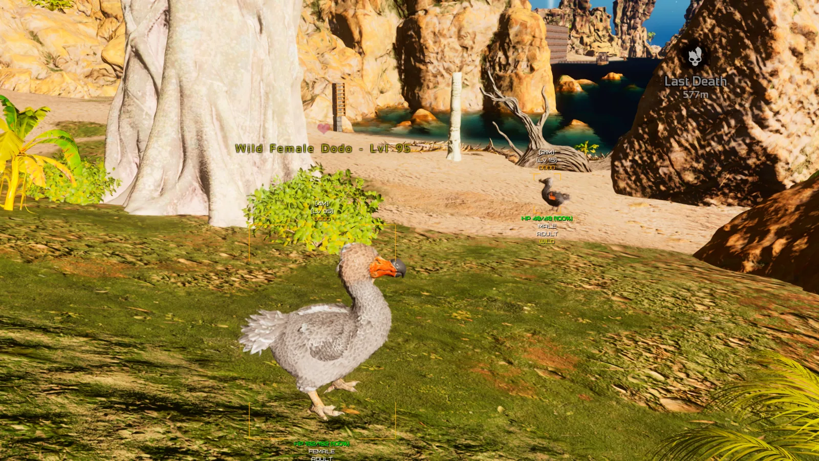 ARK Ascended Cheat