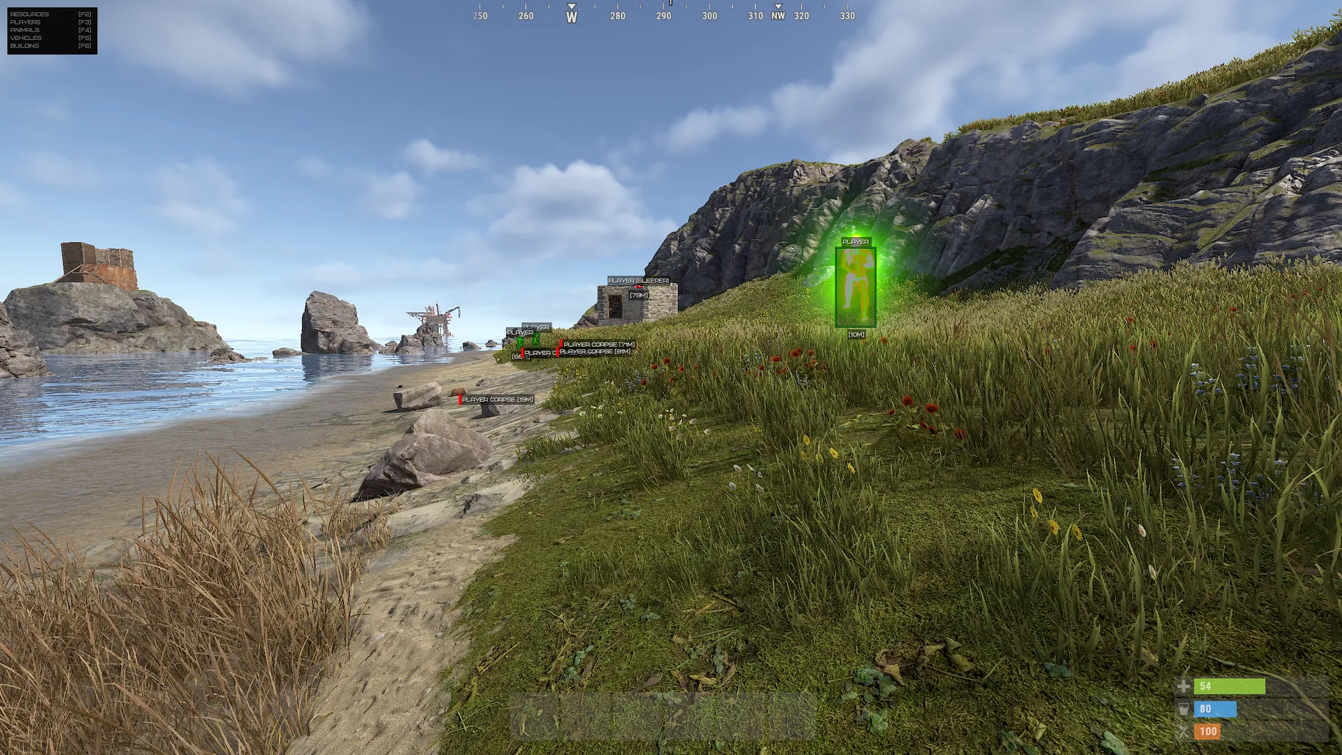 Rust Pirate Full