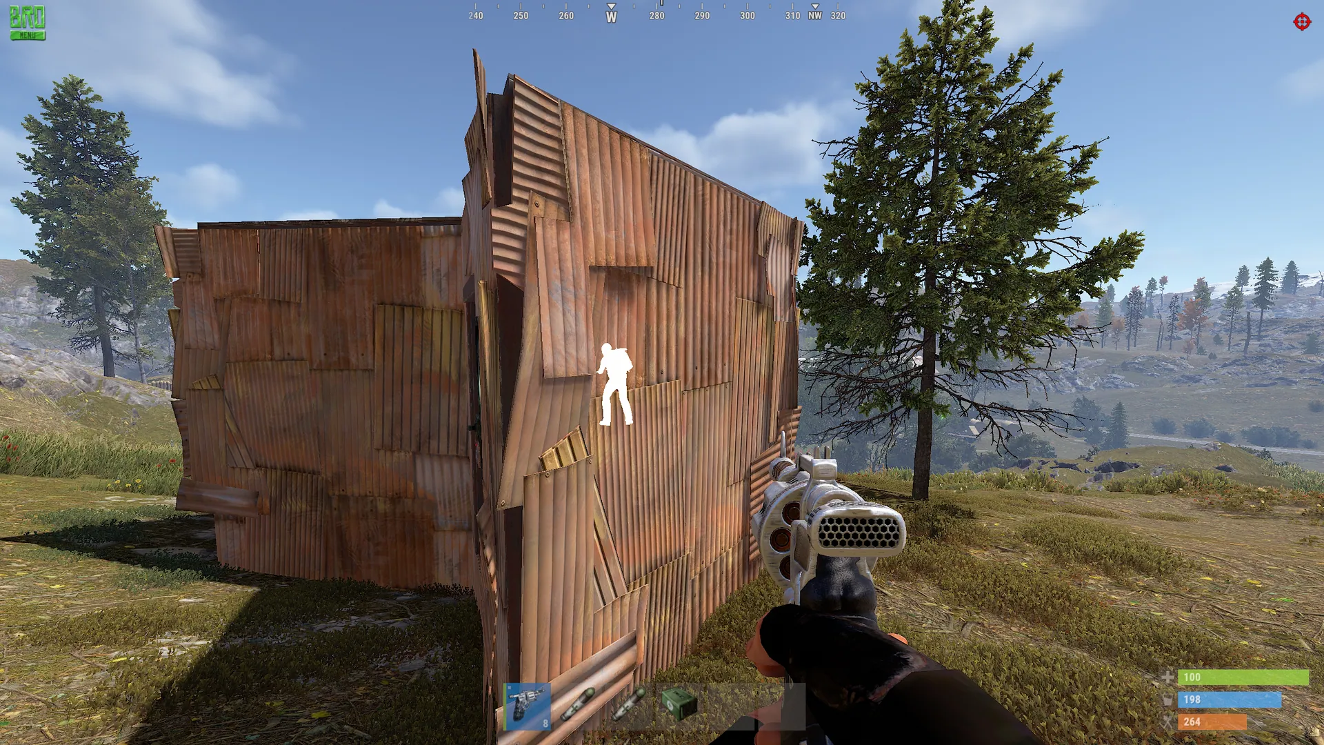 Rust Chams